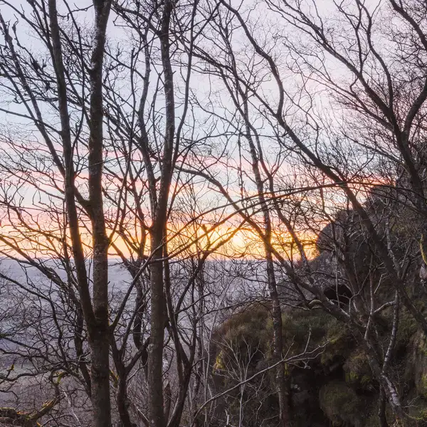 Late winter dawn