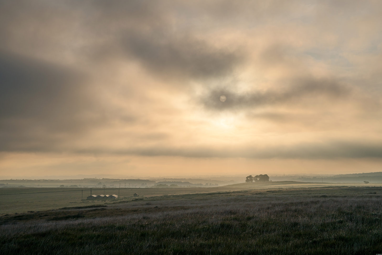 Rolling fields under a misty sky with the sun faintly visible behind dark clouds, casting a soft glow over the landscape. A cluster of trees and a few structures with power lines are seen in the distance, creating a serene, atmospheric scene.