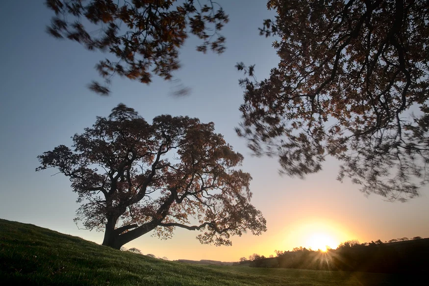 Autumn Sunrise