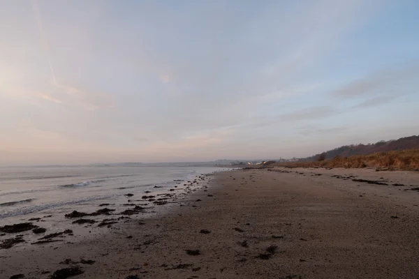 Sandy coastal beach at dawn with seaweed strandline, gentle waves and a distant town beneath a pale winter sky