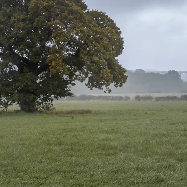 Crimple Valley Autumn Walk