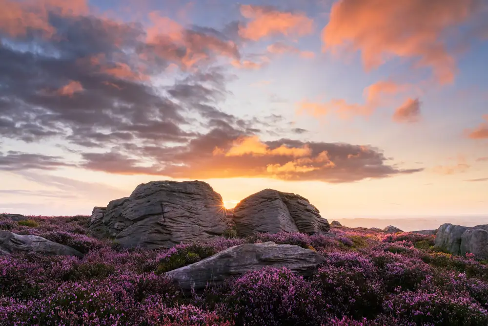 Rocky landscape with large boulders surrounded by blooming purple heather. The setting sun peeks through the rocks, casting a warm glow on scattered clouds tinged with orange and pink hues against a soft evening sky.