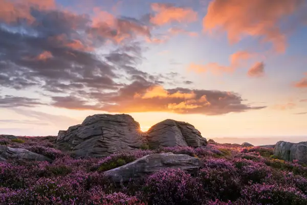 Rocky landscape with large boulders surrounded by blooming purple heather. The setting sun peeks through the rocks, casting a warm glow on scattered clouds tinged with orange and pink hues against a soft evening sky.