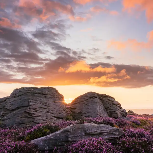 Moorland Light