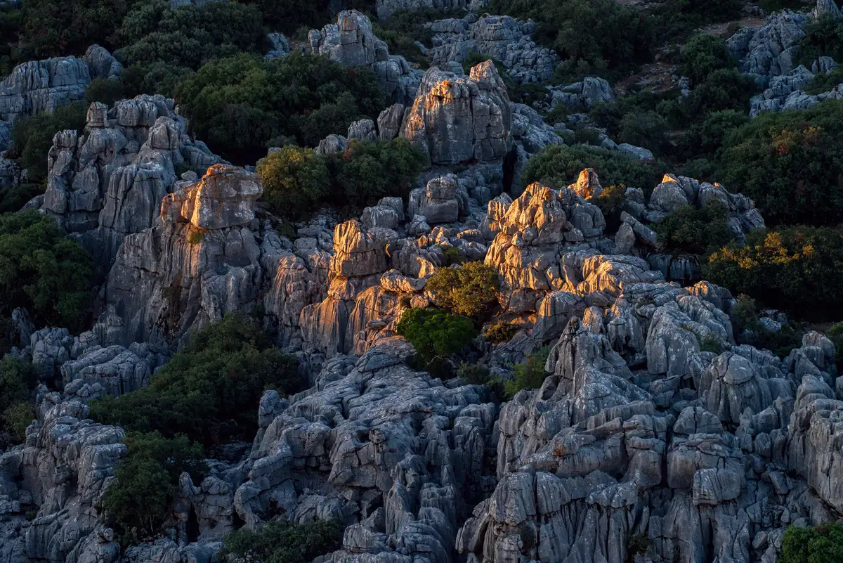 Rocky landscape with rugged grey stone formations illuminated by the warm light of a setting sun, casting shadows and highlighting textures. Scattered green shrubs and small trees grow among the rocks, adding contrast to the scene.