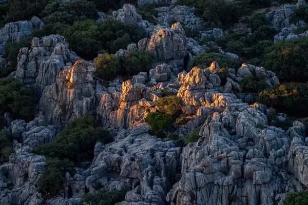 Rocky landscape with rugged grey stone formations illuminated by the warm light of a setting sun, casting shadows and highlighting textures. Scattered green shrubs and small trees grow among the rocks, adding contrast to the scene.