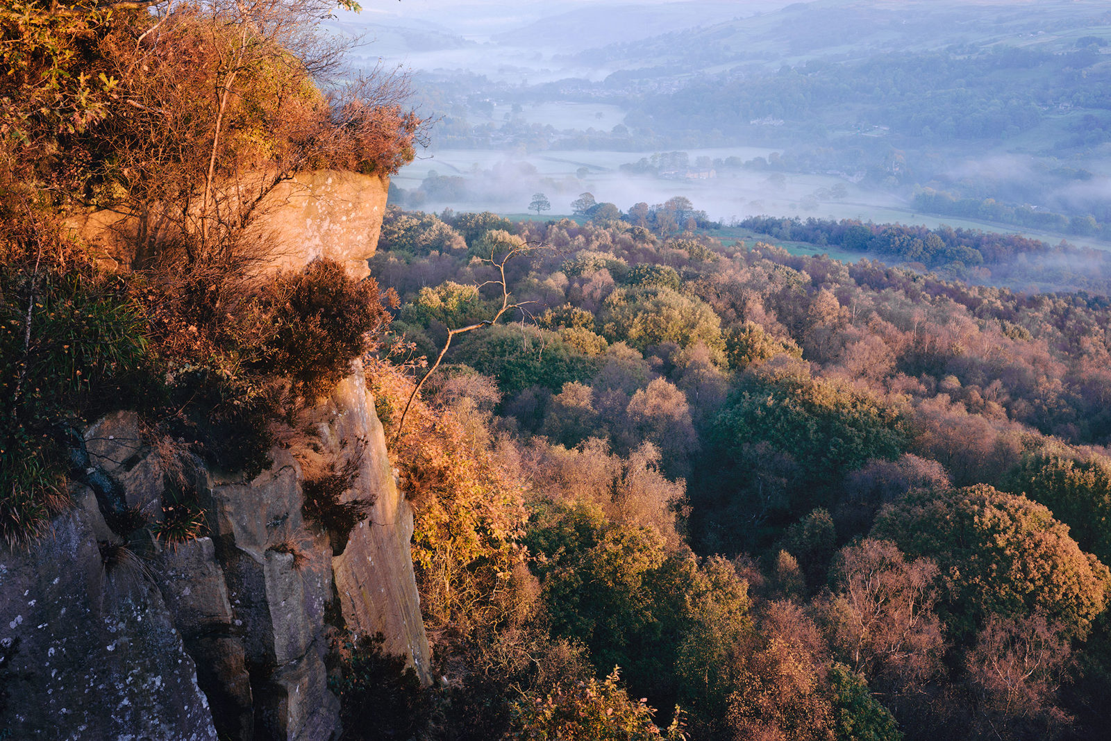 Rocky cliffside with autumnal foliage and sparse shrubs, bathed in warm sunlight. In the distance, a misty valley with densely forested areas and rolling hillsides fades into a hazy horizon, creating a serene and picturesque landscape.