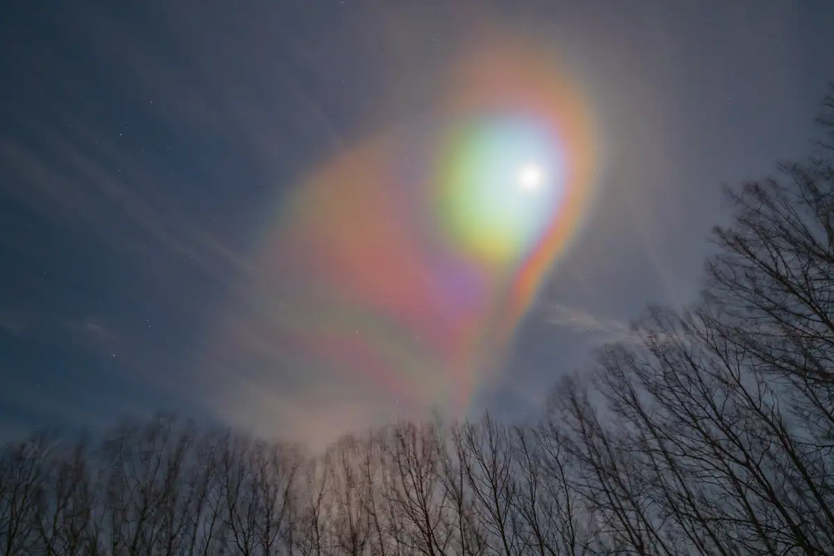 Bright moon surrounded by a large, striking halo of colours including green, red, and blue, creating a rainbow-like effect in the night sky. The silhouette of bare trees is visible at the bottom, with scattered stars dotting the sky.
