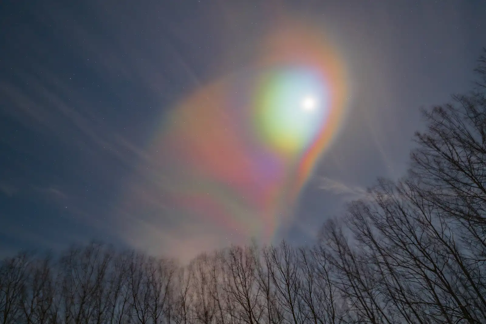 Bright moon surrounded by a large, striking halo of colours including green, red, and blue, creating a rainbow-like effect in the night sky. The silhouette of bare trees is visible at the bottom, with scattered stars dotting the sky.