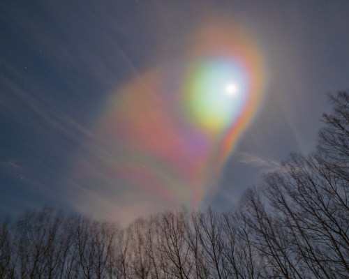Nightscapes:  a rainbow over trees