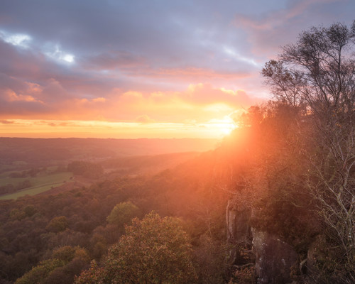 A Journey Through Ancient Woodland:  a sunset over a snow covered field