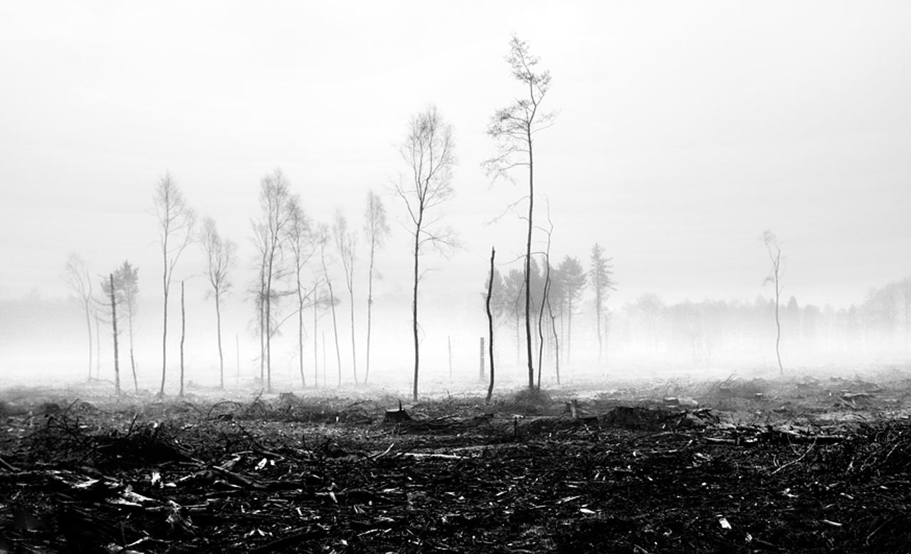 Destruction revisited