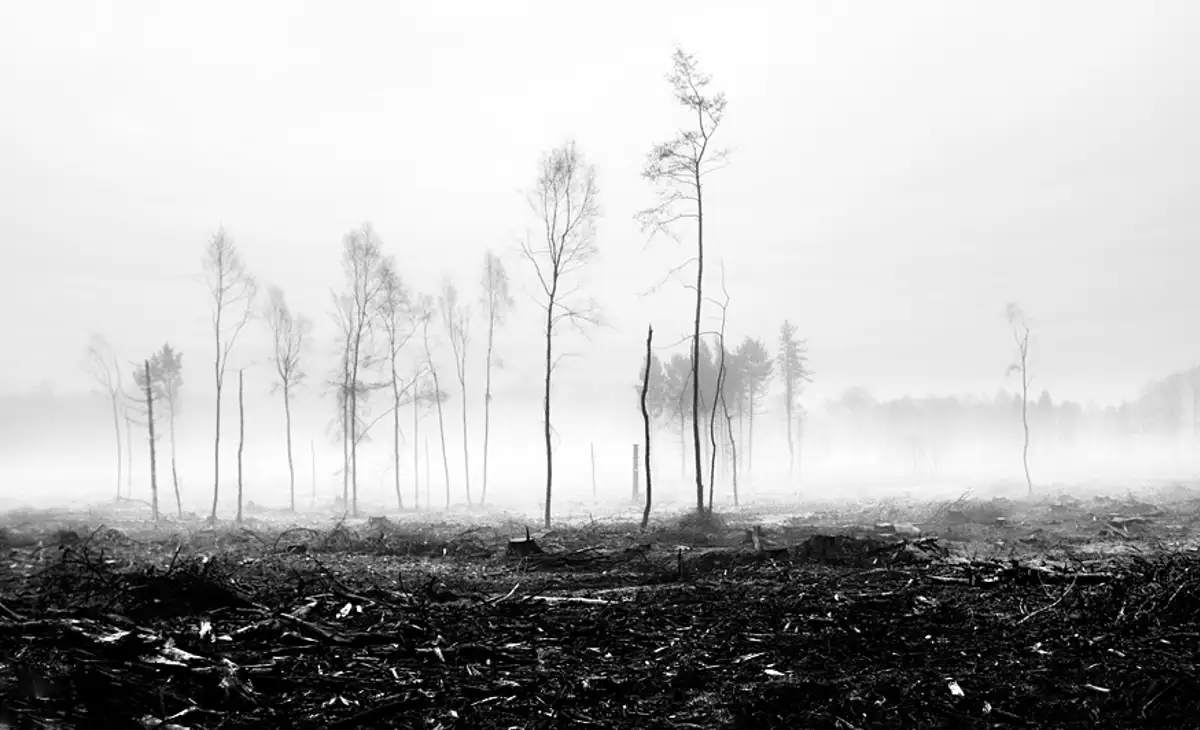 Destruction revisited