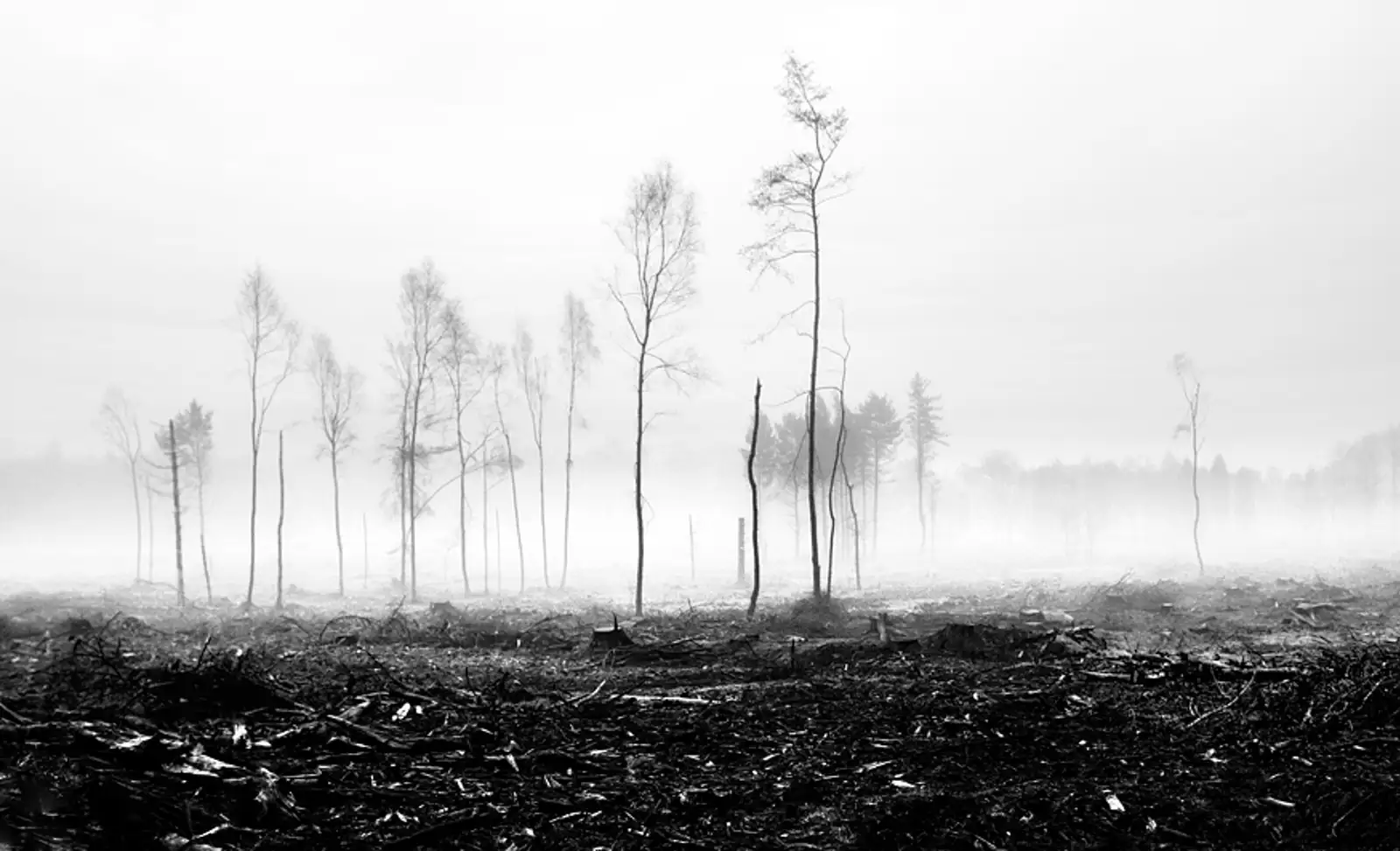 Destruction revisited