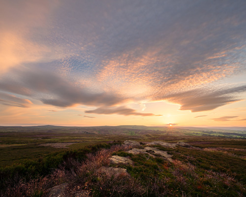 Moorland Landscapes: Sunset over the rolling moorlands of North Yorkshire. Heather and grass blanket the ground, leading to soft, undulating hills on the horizon. A dynamic sky crowns the landscape, painted with warm hues of orange and pink as the sun dips, casting a tranquil glow over the scene. a landscape with a cloudy sky