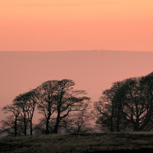 Sunrise, Harrogate: Sunrise, Harrogate