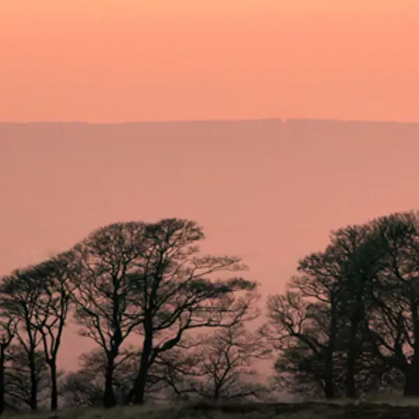 Sunrise, Harrogate