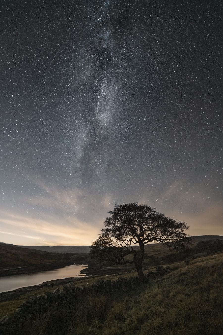 A solitary tree stands against a star-filled night sky, with the Milky Way visible as a bright, cloudy band stretching vertically. Below, gentle rolling hills and a serene lake add tranquillity to the scene, while a stone wall leads to the tree. 