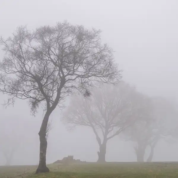 April mists