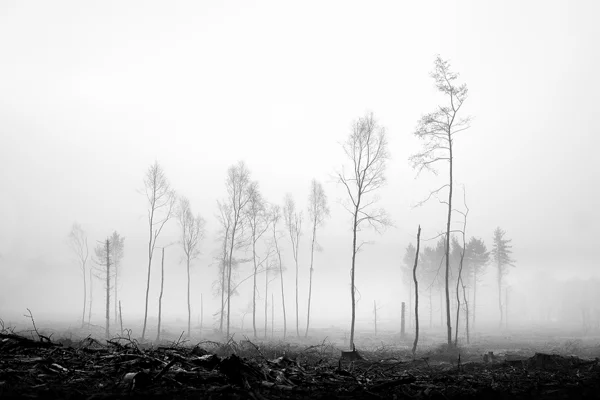 Destruction