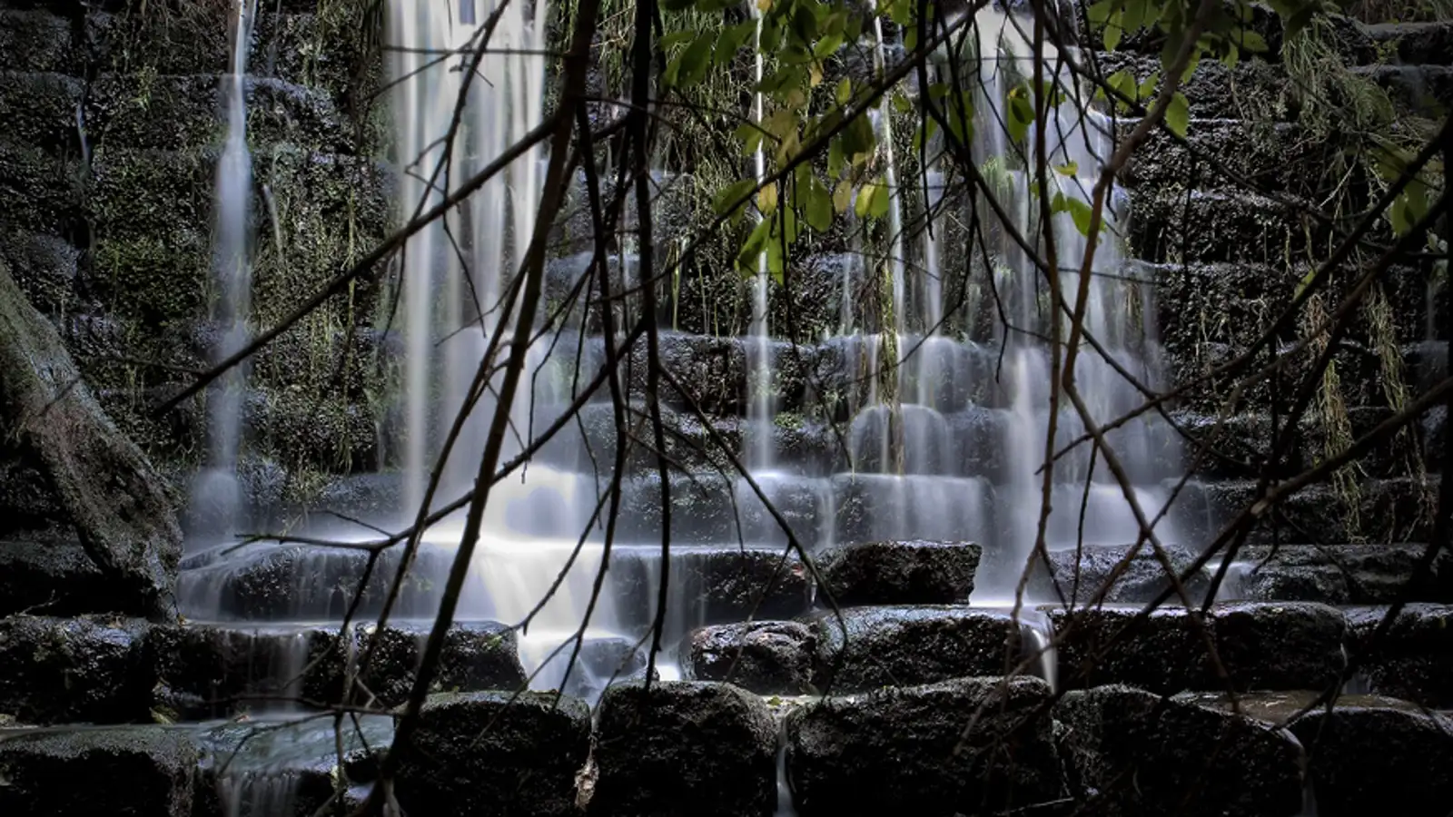 A constant flow of sound