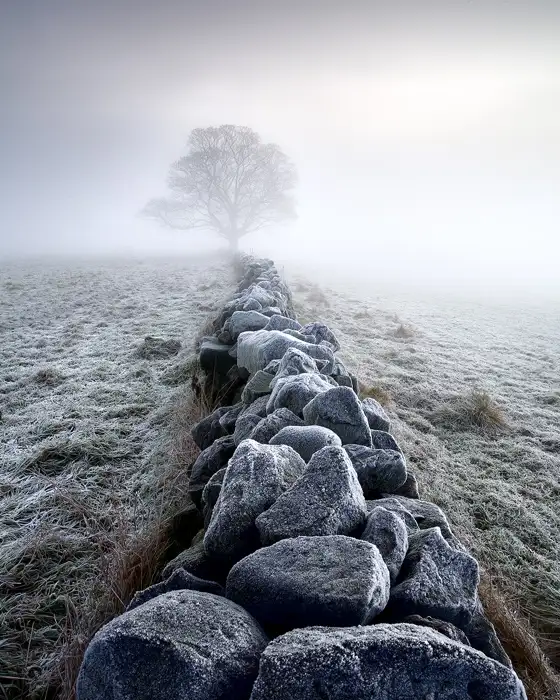 Winter Morning