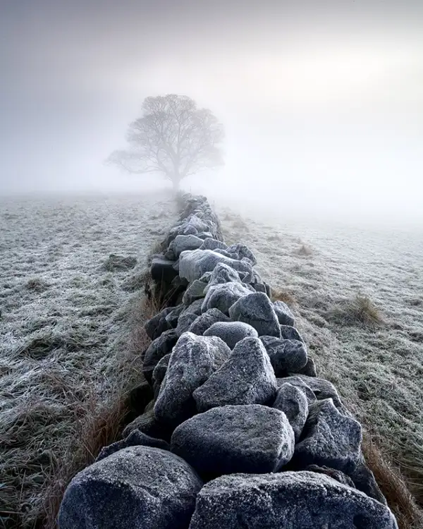 Winter Morning