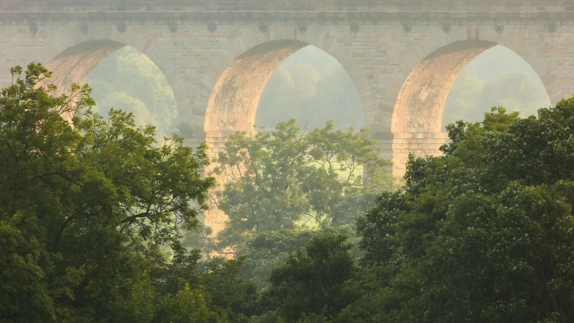 Brick railway viaduct arches rising through misty summer woodland canopy at dawn