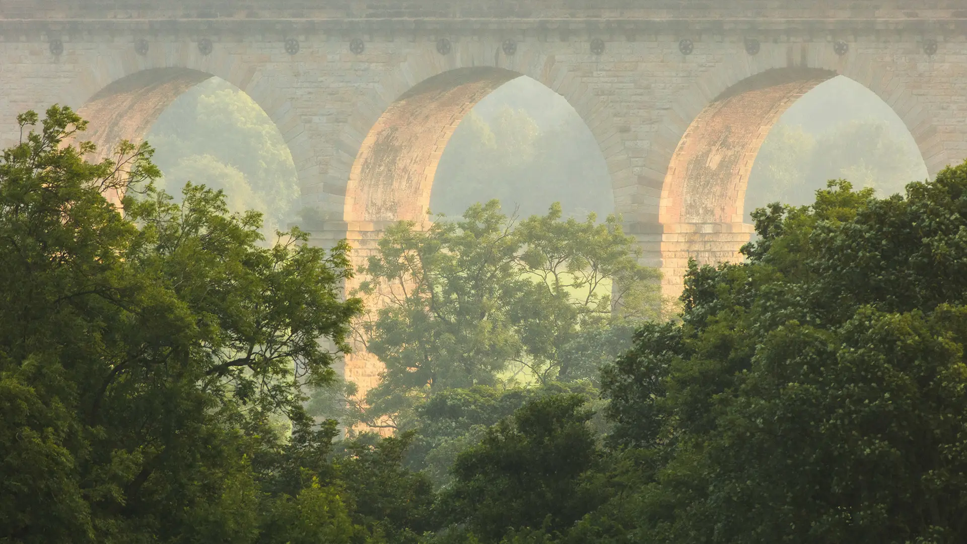 A stone viaduct with large archways, partially obscured by lush green trees in the foreground. Soft sunlight creates a warm glow on the viaduct, enhancing the stone texture, while a misty backdrop lends a serene atmosphere to the landscape.