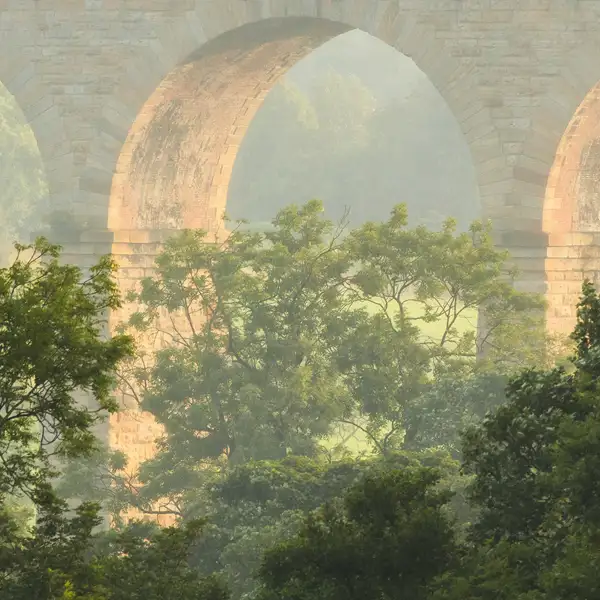 Crimple viaduct and fields