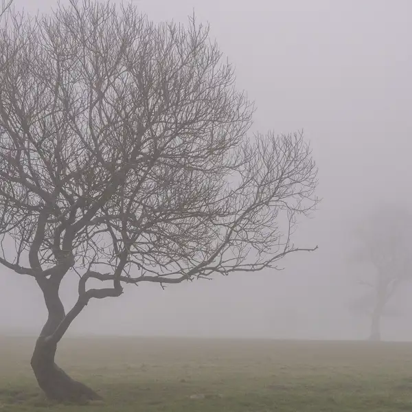 April mists