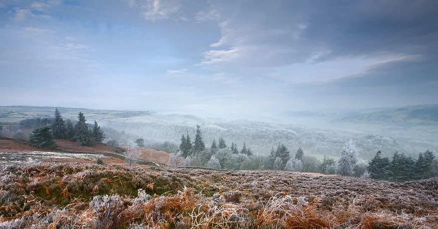 Winter View