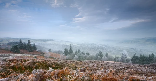 Winter View