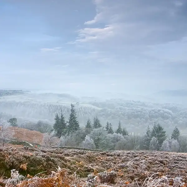 Winter View