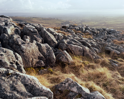 Yorkshire Dales: Limestone and Lone Trees:  a herd of sheep grazing on a rocky hill