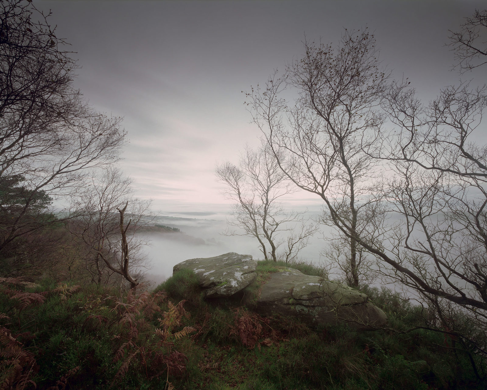 Misty landscape with bare trees and a large moss-covered rock in the foreground. The early morning haze softens the distant hills and sky, creating a calm, muted atmosphere. Sparse branches frame the scene, adding depth to the composition.