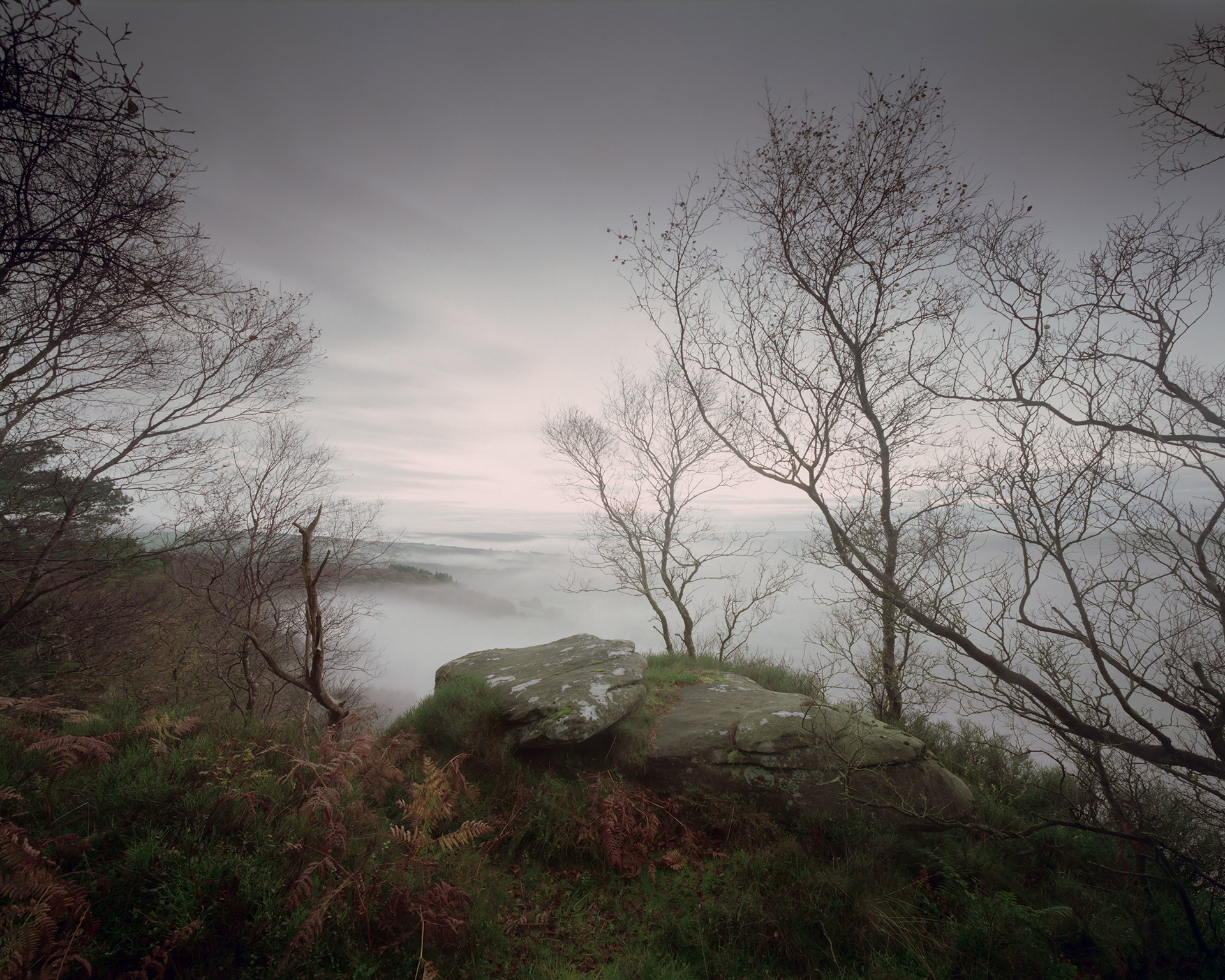 Misty landscape with bare trees and a large moss-covered rock in the foreground. The early morning haze softens the distant hills and sky, creating a calm, muted atmosphere. Sparse branches frame the scene, adding depth to the composition.