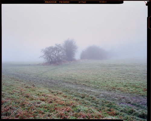 Edge Land:  a large green field with trees in the background
