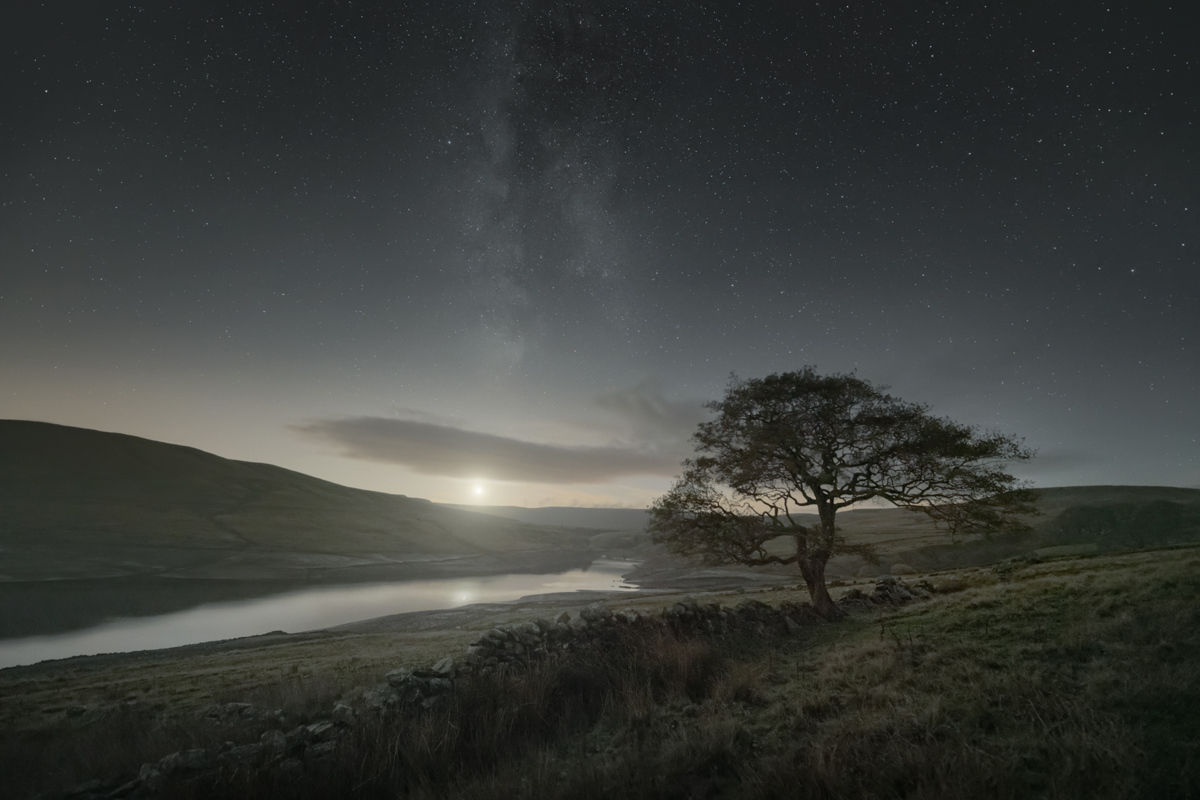 A solitary tree stands beside a stone wall under a starry sky, with a milky strip of galaxy visible. Below, gentle hills cradle a reflective body of water, glowing faintly from the crescent moon rising on the horizon. a close up of a hillside next to a body of water