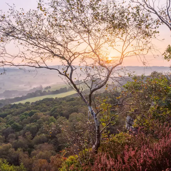Edge of autum