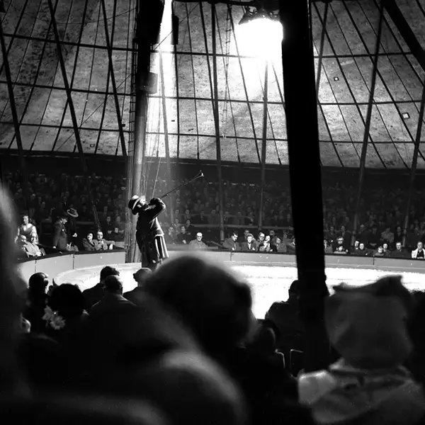 The circus