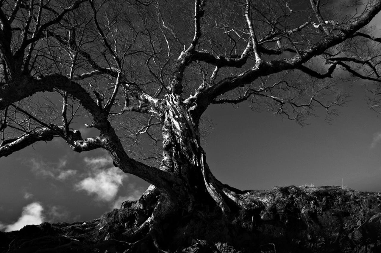 Near Scarhouse Reservoir