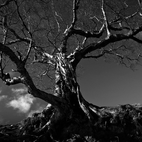 Near Scarhouse Reservoir: Near Scarhouse Reservoir
