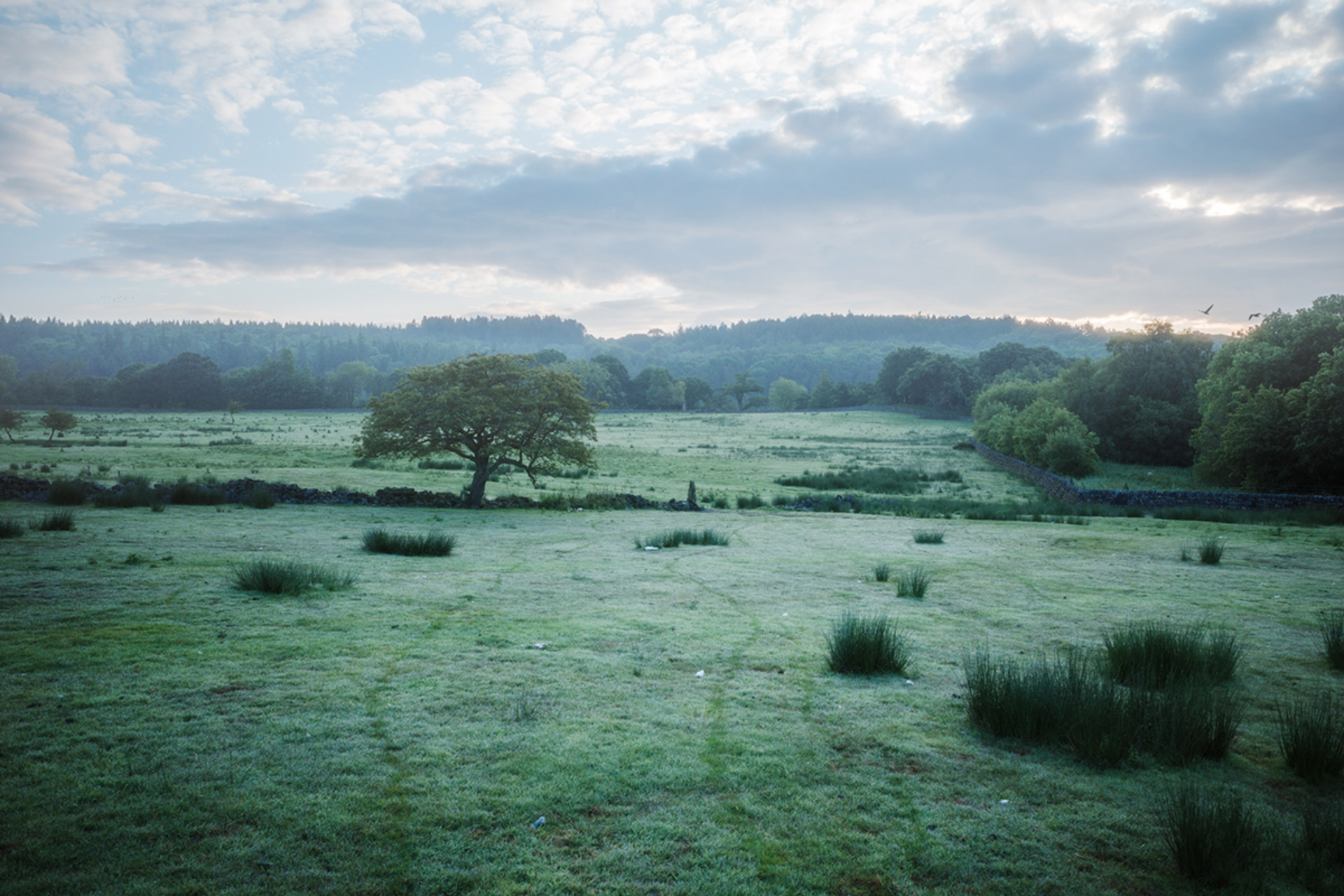 Ricoh GRIII HDF with shadows lifted showing dynamic range