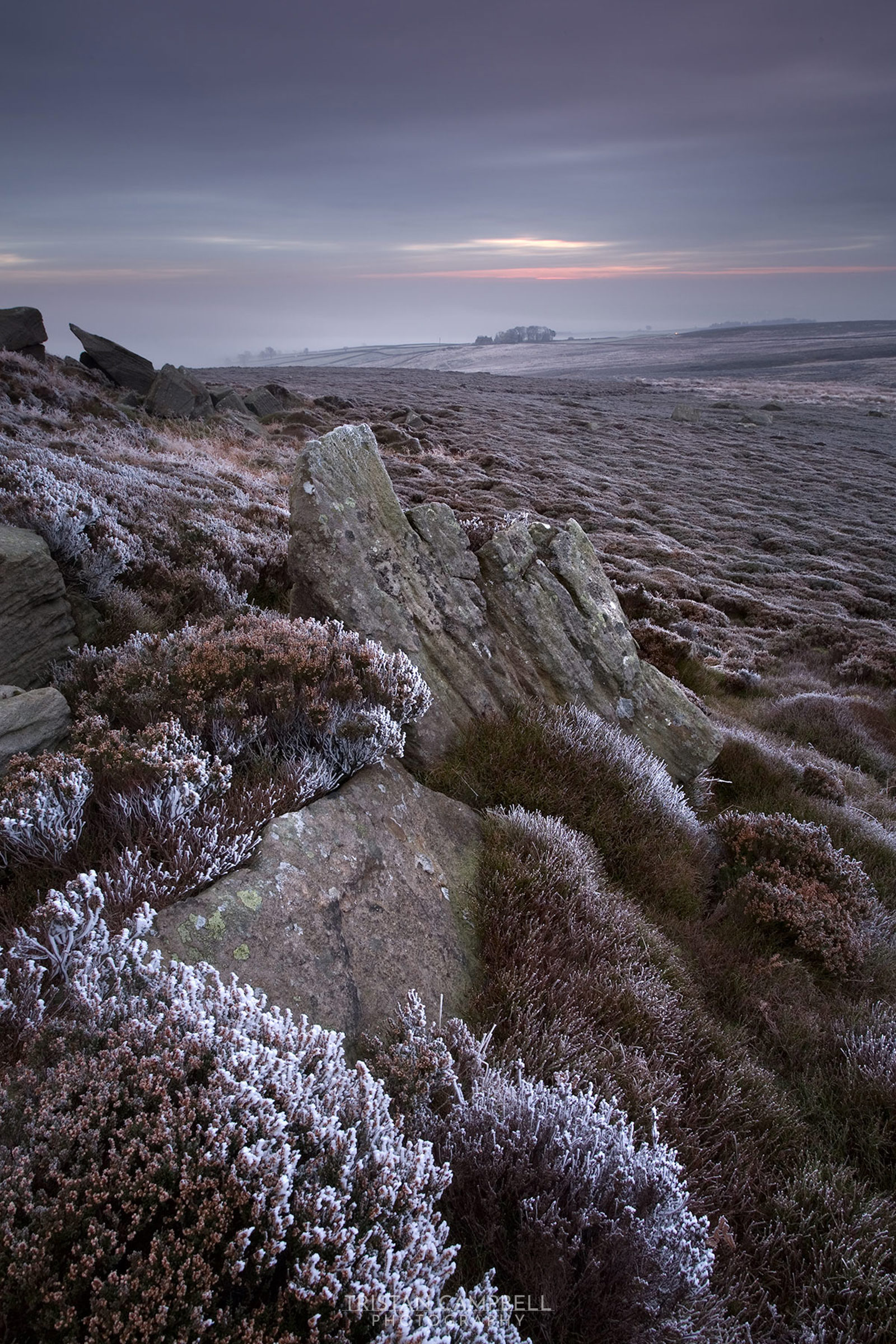 Rocky outcrop on a frost-covered moorland under a cloudy, purple-hued sky. The foreground features frost-dusted heather, with rolling hills extending into the distance. The horizon shows a faint hint of sunlight breaking through the clouds.