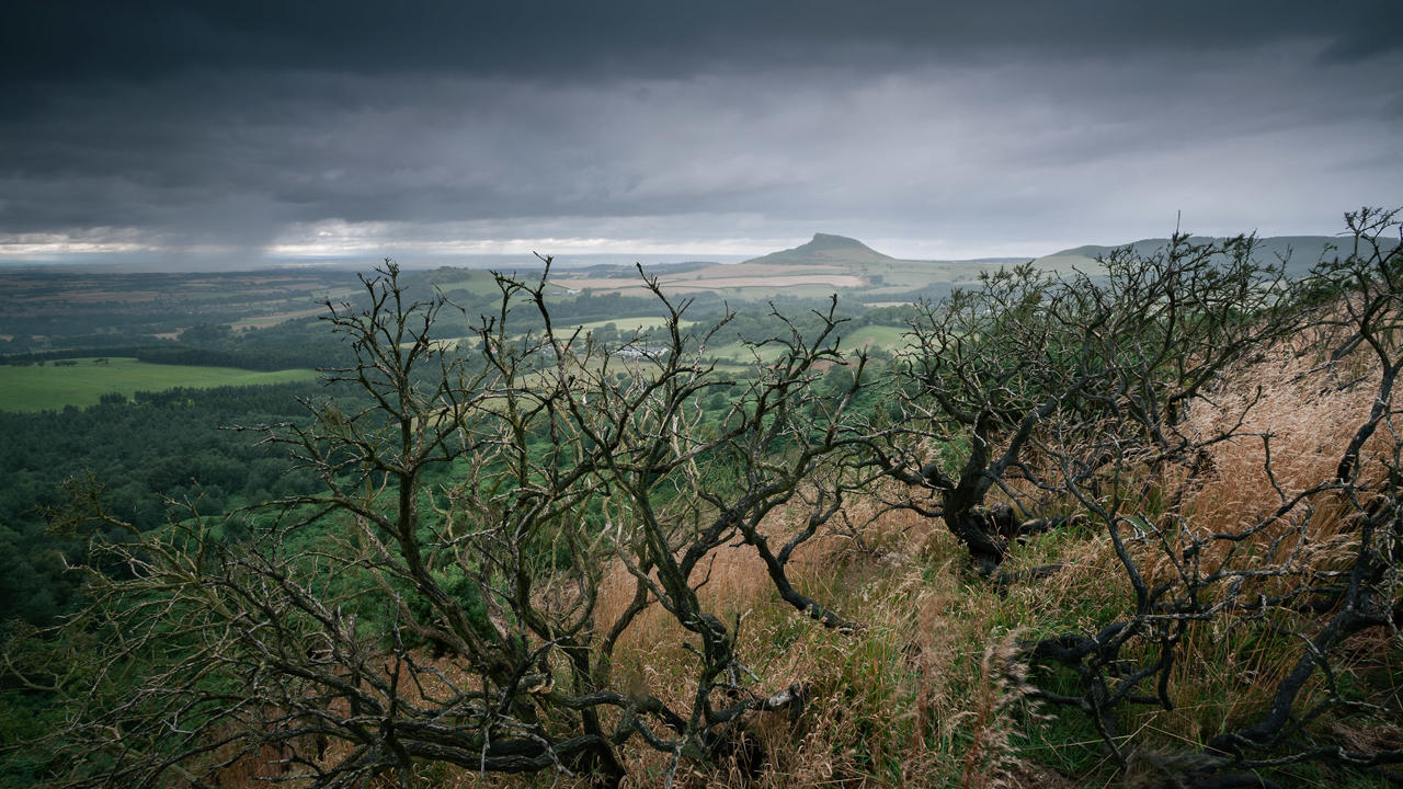 Dark, twisted tree branches in the foreground overlook a lush green landscape with fields and scattered trees. In the distance, a distinctively shaped hill rises under a dramatic, overcast sky, casting a moody atmosphere.