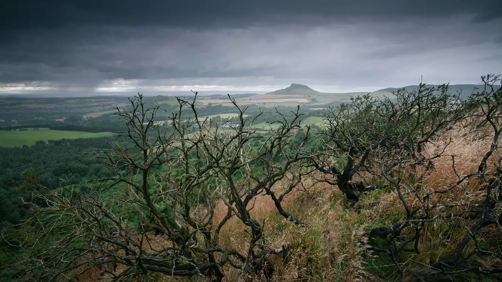 Dark, twisted tree branches in the foreground overlook a lush green landscape with fields and scattered trees. In the distance, a distinctively shaped hill rises under a dramatic, overcast sky, casting a moody atmosphere.