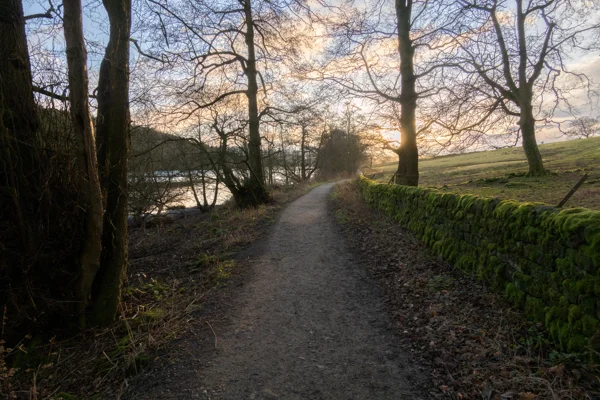 Lakeside woodland path beside a moss-covered drystone wall at winter sunset, bare trees framing the sky