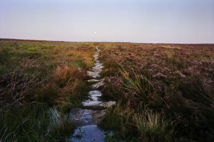Moorland Moonrise Colour 2024