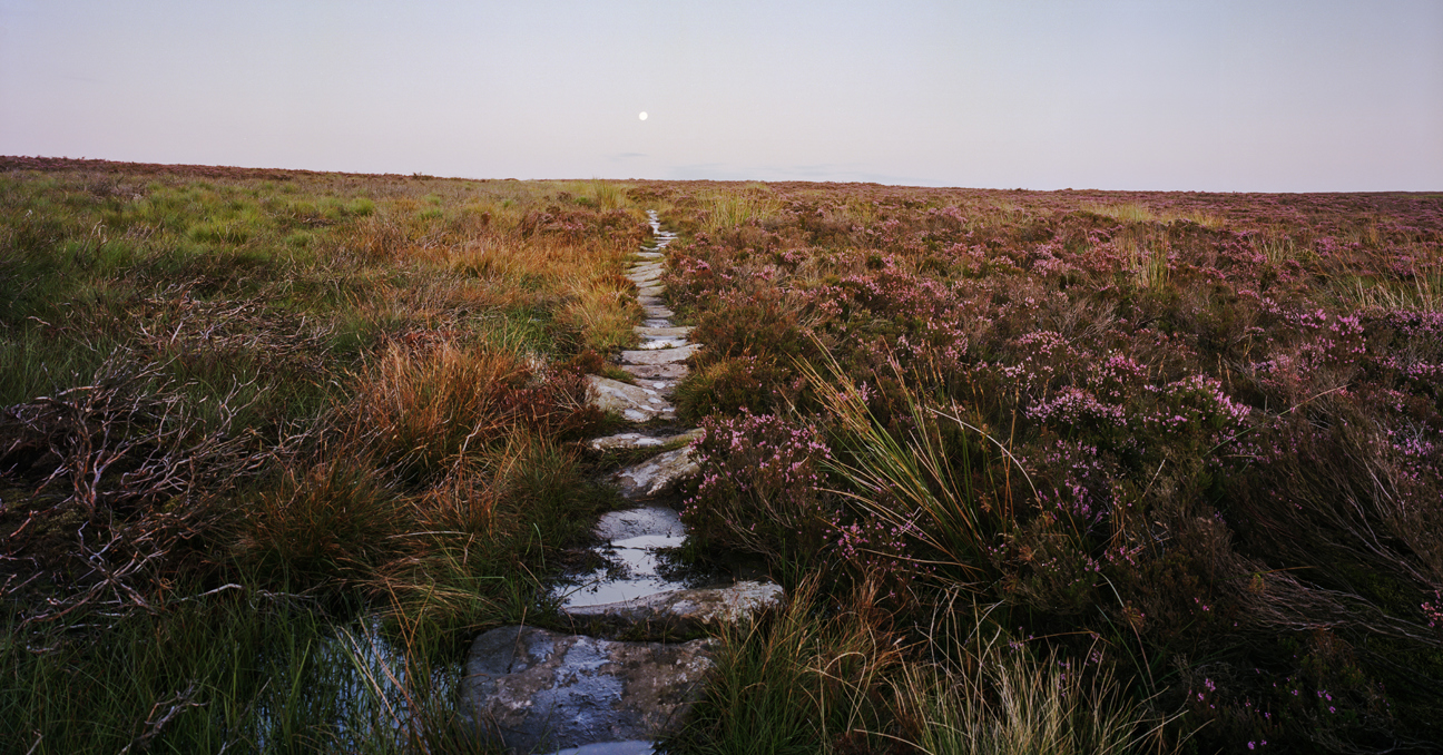 North Yorkshire's Wild Moorlands
